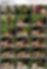 85460286_[14y]_rosmeri___girlonrock1.w.jpg